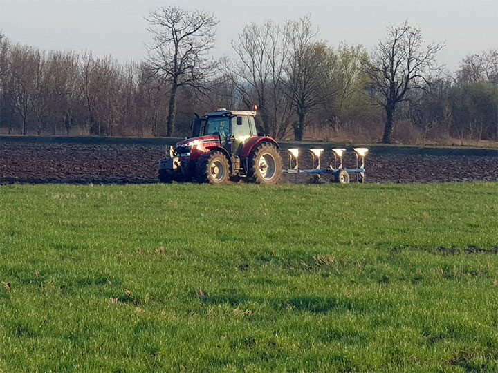 Ploughing winter cover crops in spring