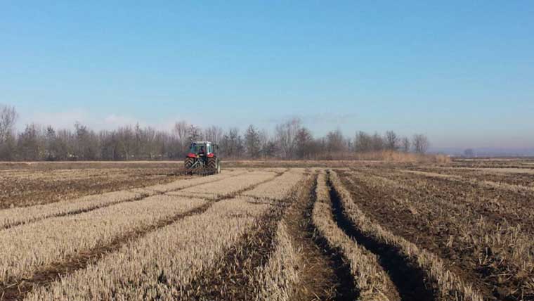 Minimum tillage