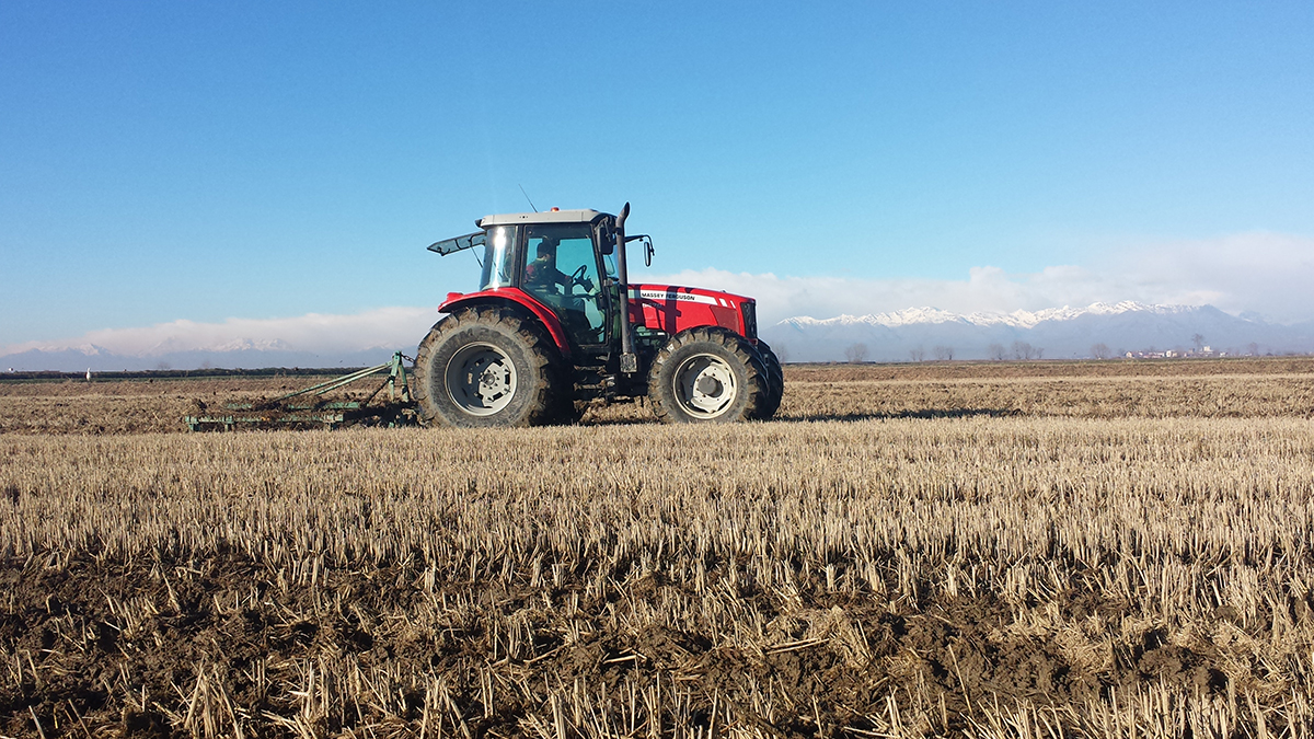 Cascina Oschiena. Agricoltura sostenibile. Coltivazione riso