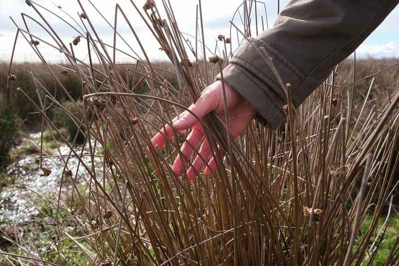 Le foto di Cascina Oschiena