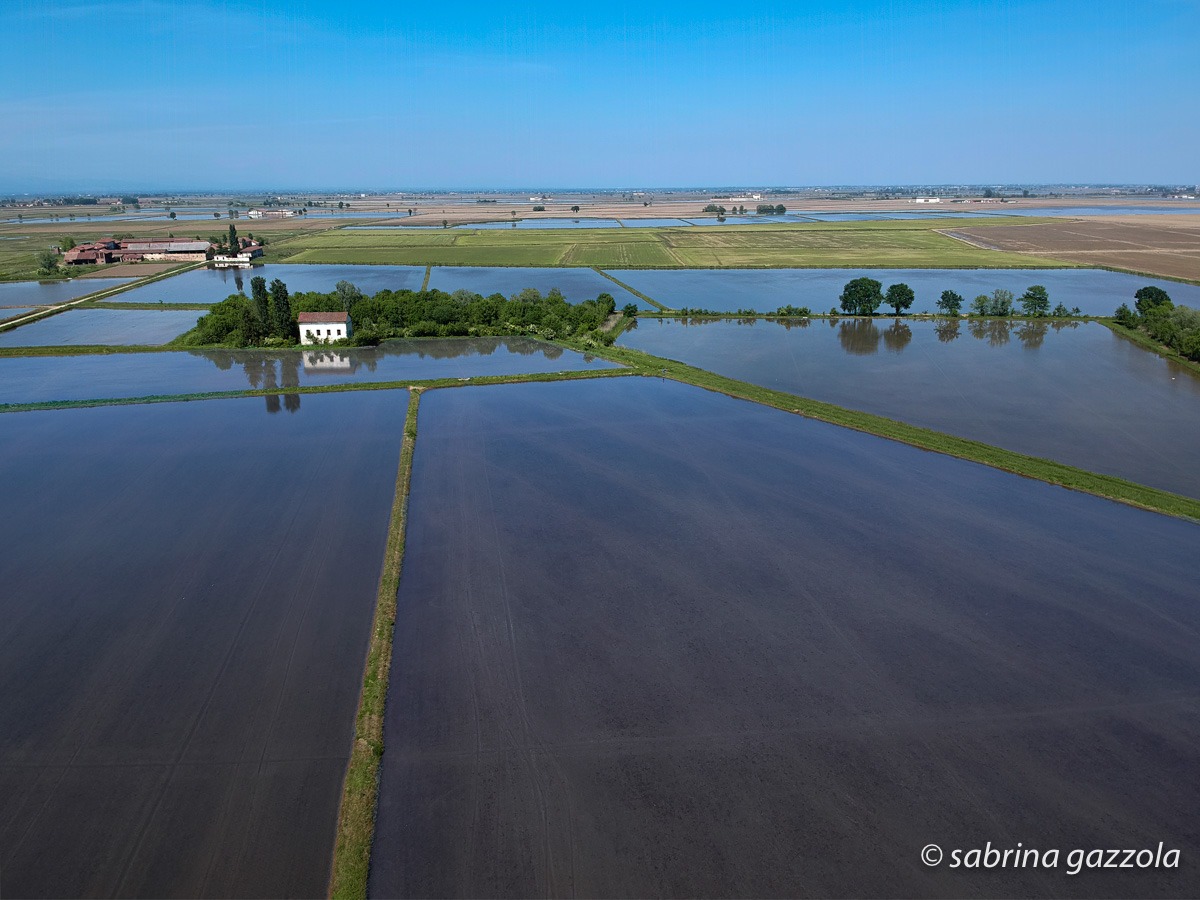 Fields of the farmhouse during the flooding