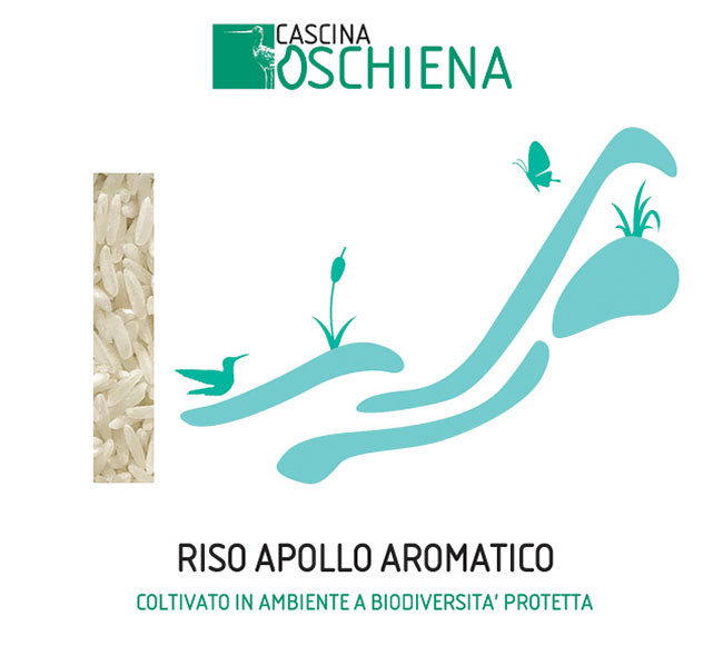 riso Apollo 500 gr Cascina Oschiena