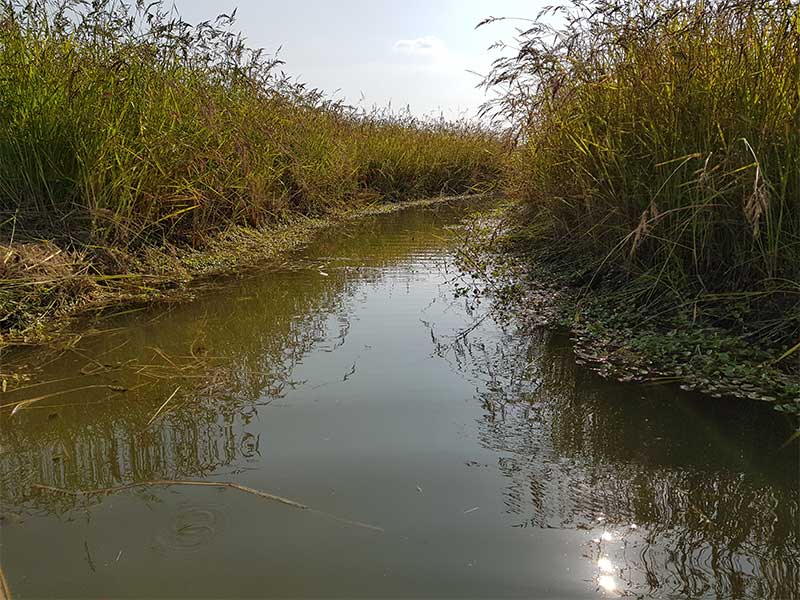 TAnti-predation ditches to safeguard the nesting of the birds